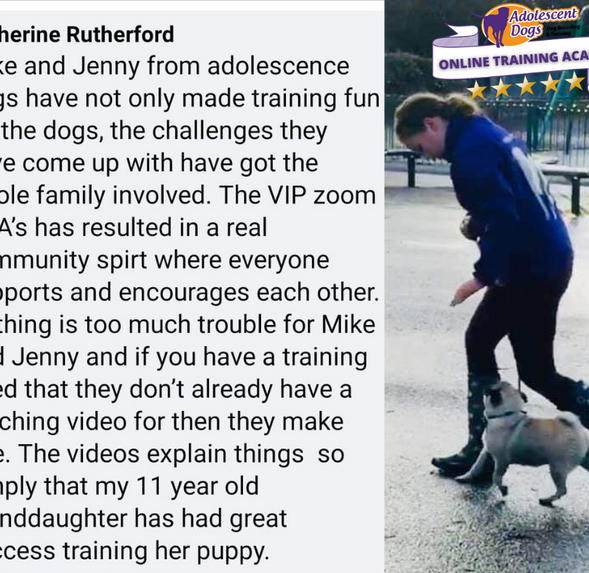 Copy of Untitled Design (5).png