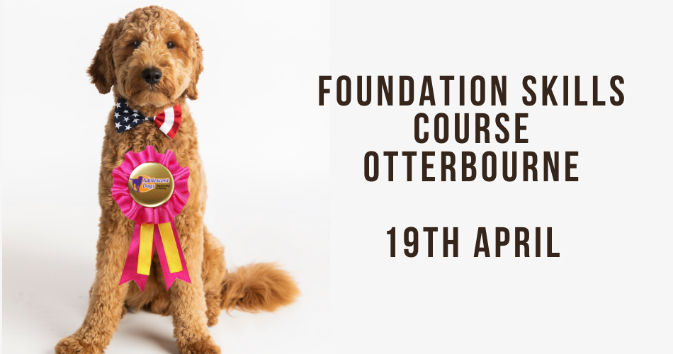 Foundation Skills 6 Week Course