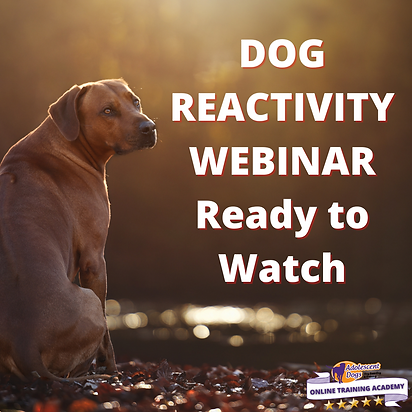 SOCIALISATION WEBINAR LIVE NOW (3).png