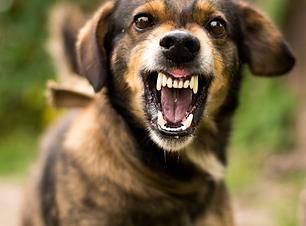 Copy of Pay as you go, flexible online d