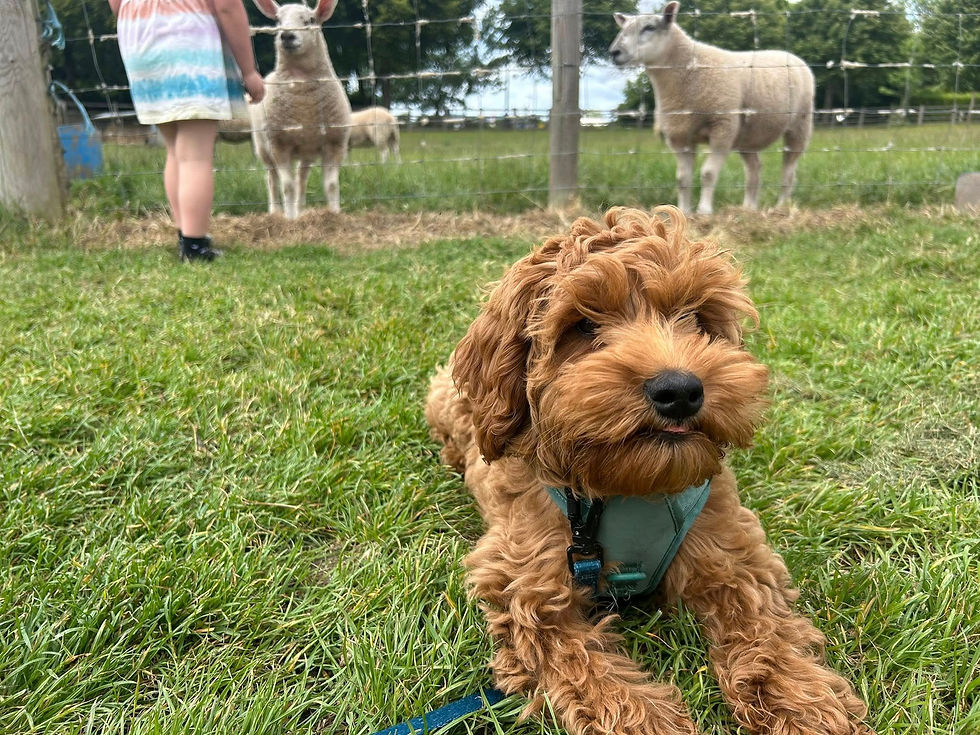 518302758_23967509372903246_3259514285730178702_n