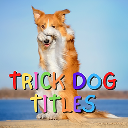 Copy of HAVE FUN WITH YOUR DOG TRICK DOG