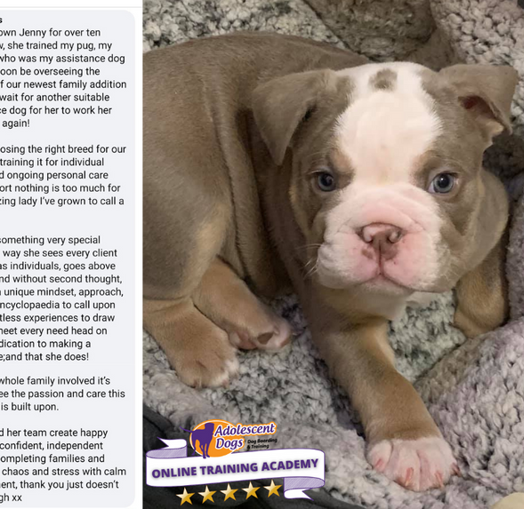 Copy of Untitled Design (7).png