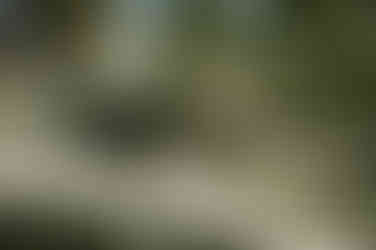 East Mersea Hall Wedding Photographer