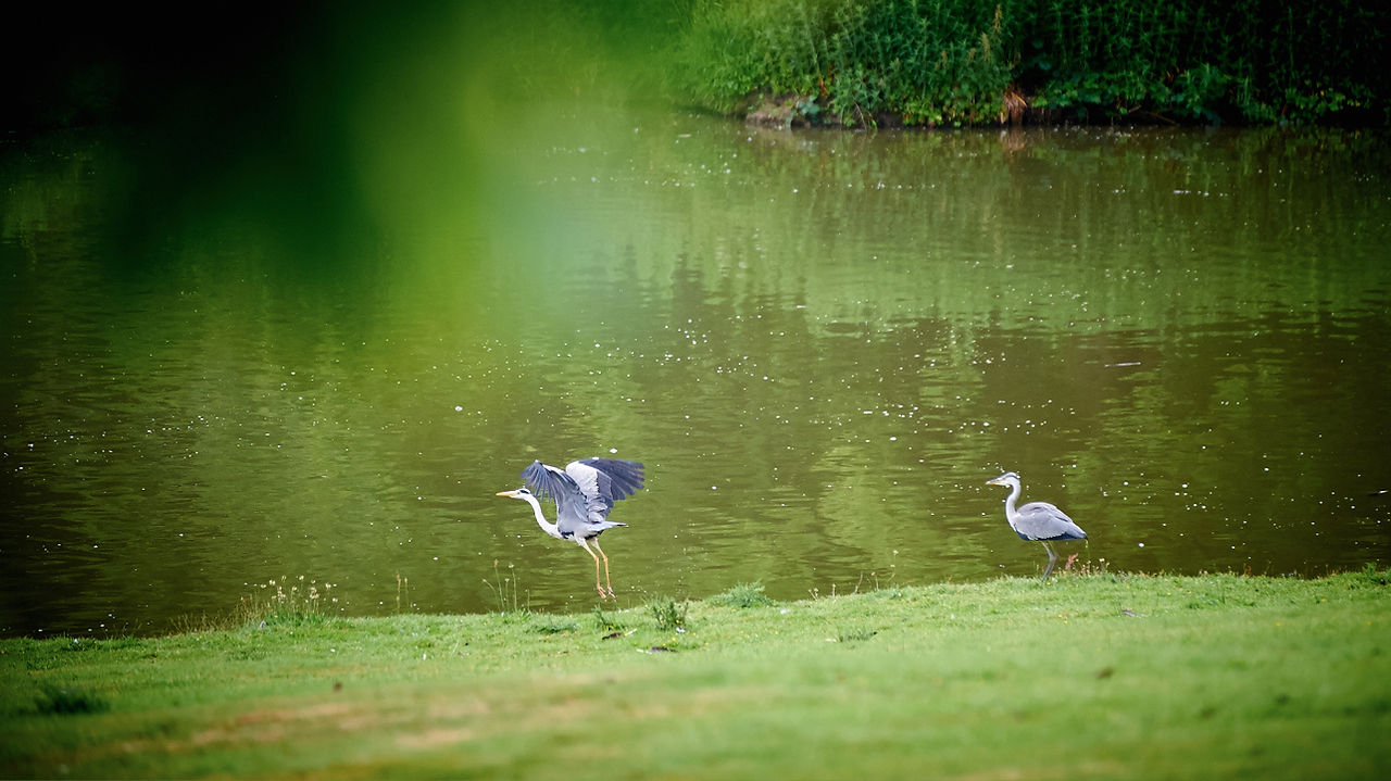 Braxted park wedding photographer