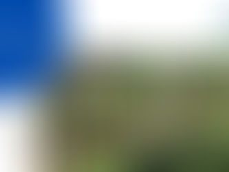 El tope de la cosecha cafetera no llegó a los índices esperados