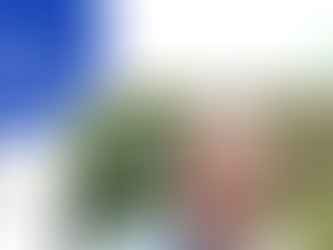 'Reconocemos lo hecho, pero pueden hacer más', Norman Correa