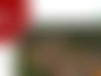 Dos homicidios en zona rural de Salgar