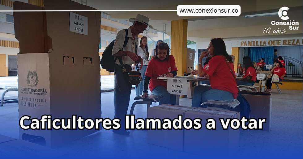 Con votación por WhatsApp Federación Nacional de Cafeteros busca impulsar participación en elecciones cafeteras