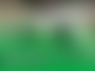 Avistamiento de hipopótamo en el río Cauca, entre Antioquia y Caldas, resultó ser falso