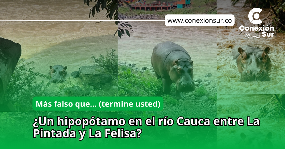 Avistamiento de hipopótamo en el río Cauca, entre Antioquia y Caldas, resultó ser falso