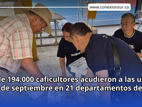 Alrededor del 55 % del censo cafetero participó en las Elecciones Cafeteras 2026
