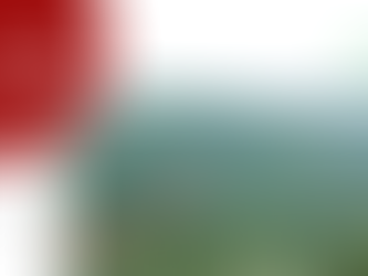 Hallan hombre que habría sido asesinado con un machete en finca de Jardín