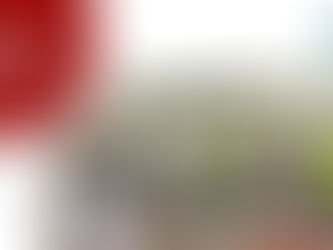 Policía reportó desarticulación de presunto grupo delincuencial