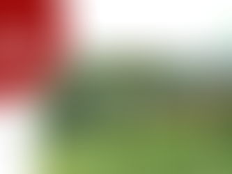 Asesinados se desempeñaban como recolectores de café