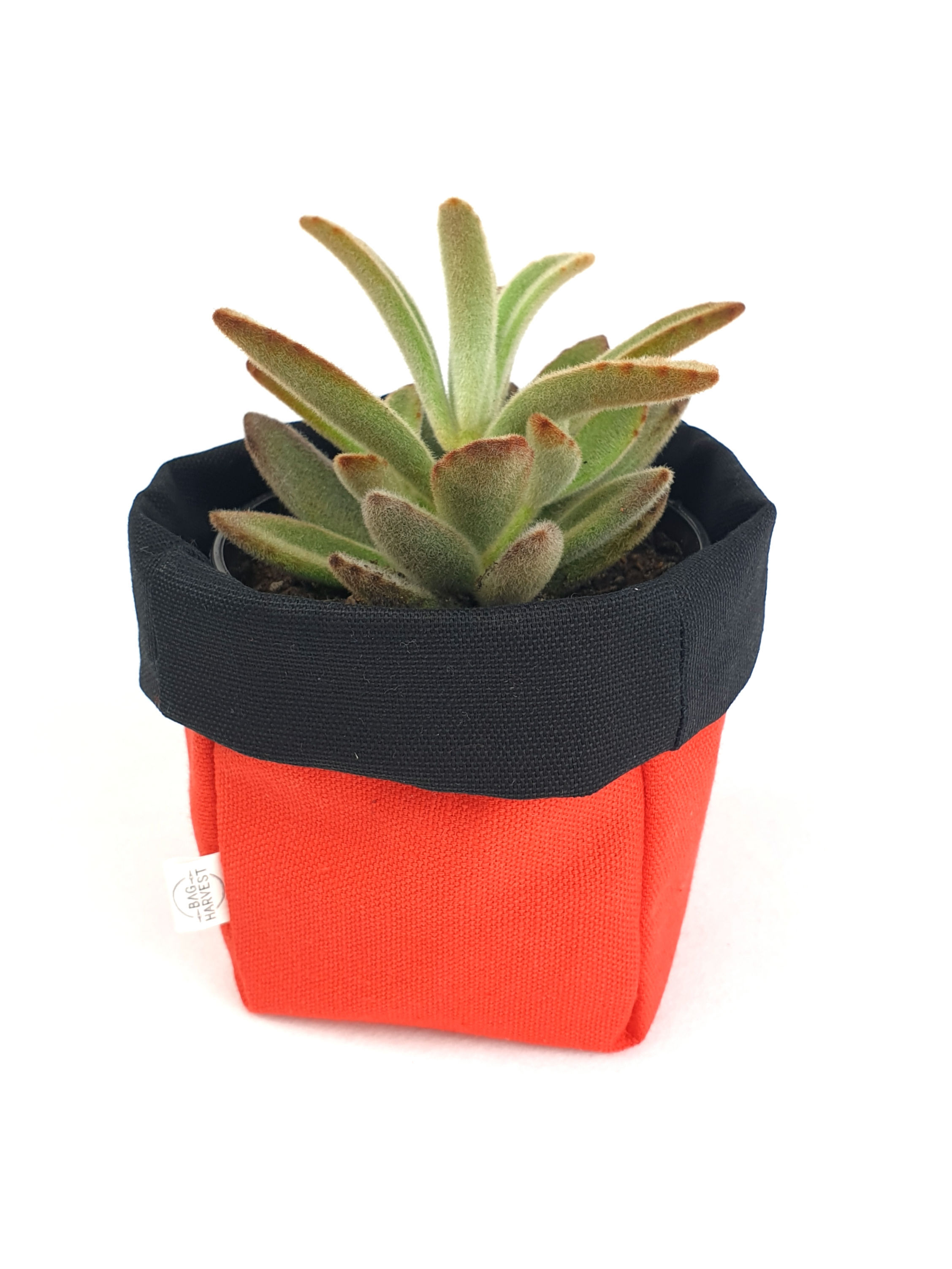 Brave2 - Mini Pot Pouch