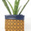 Thumbnail: Mustard and Navy - Pot Pouch Large