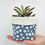 Thumbnail: Blushing Blue1 - Mini Pot Pouch
