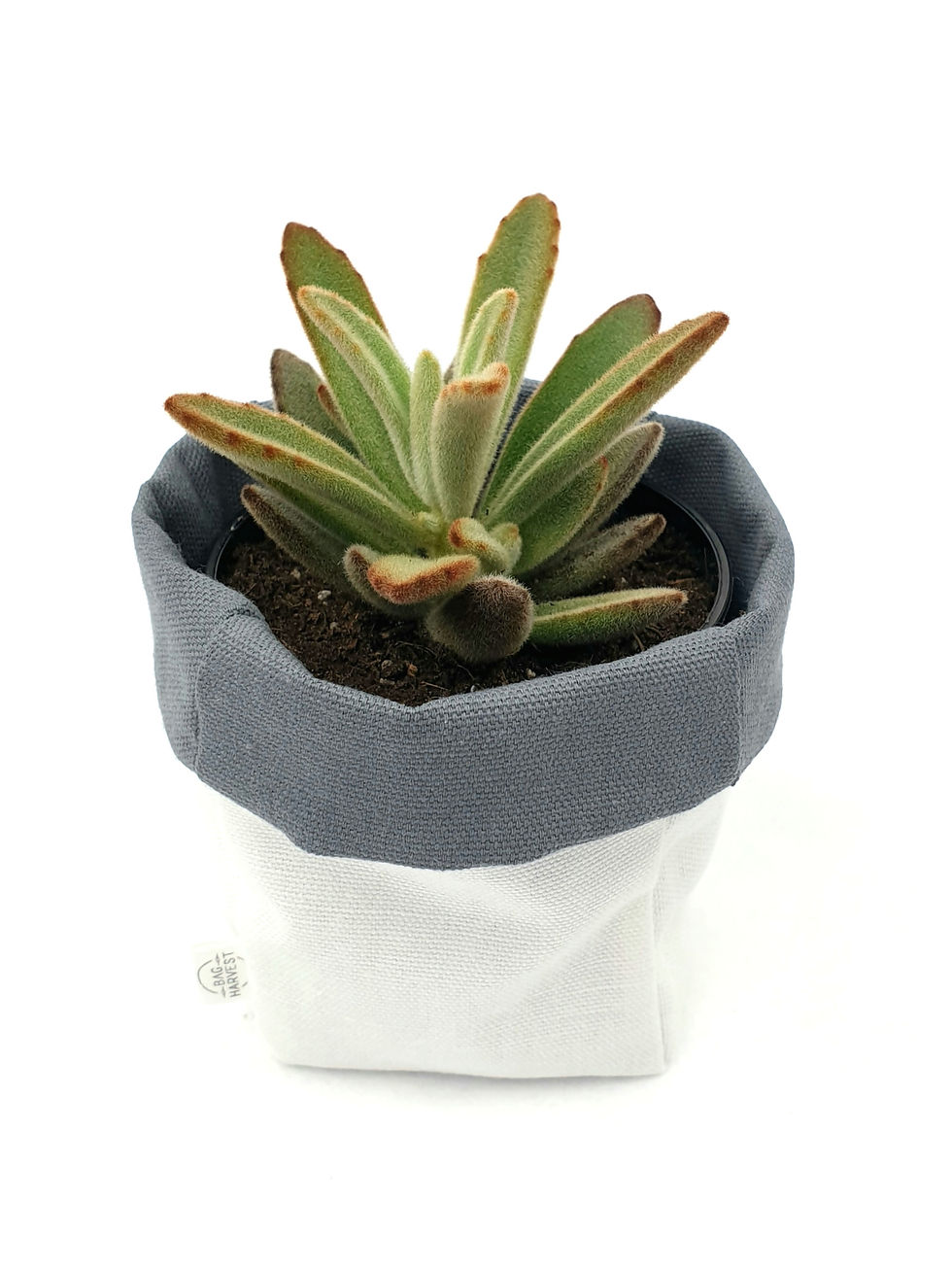 Thumbnail: Amazon3 - Mini Pot Pouch