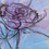 Thumbnail: Rose