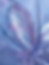 Thumbnail: Orchid