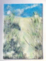 Seagrass 1