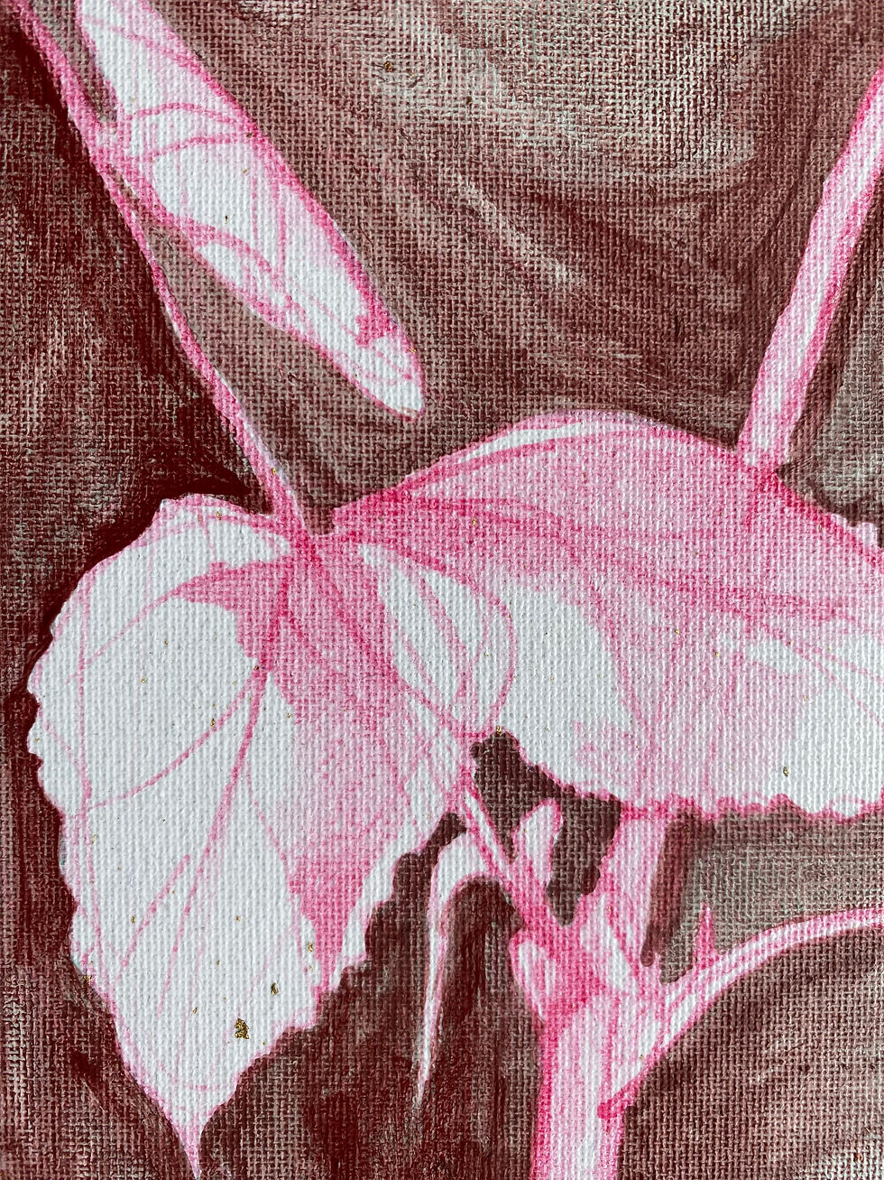 Thumbnail: Pink Rose on Brown with Gilded Edge