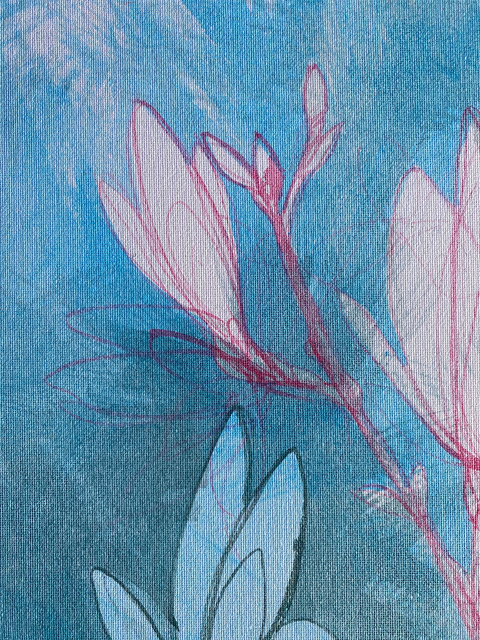 Thumbnail: Delicate Magnolia