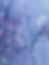 Thumbnail: Orchid