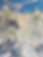 Thumbnail: Seagrass 1