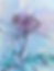 Thumbnail: Rose
