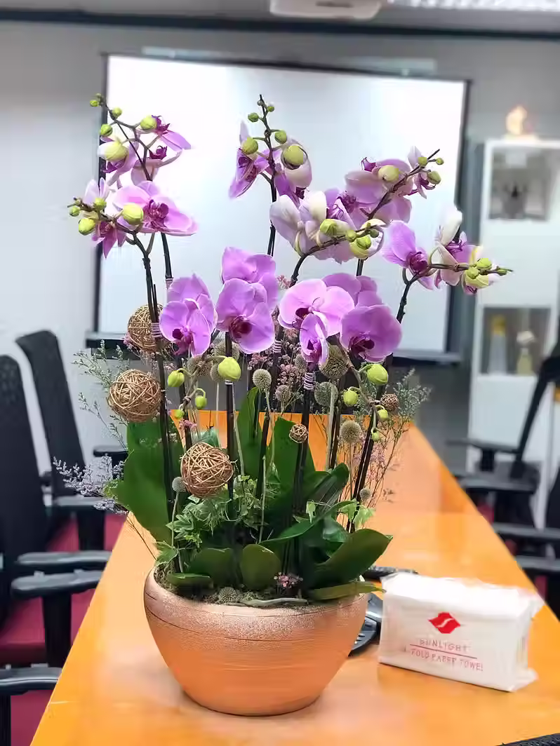 Thumbnail: 蘭花擺設賀禮 粉紅色蘭花 ORCPK-08C