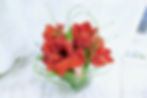 (必須預訂)朱頂蘭鮮花擺設 Amaryllis Flower Decorate (small)（SP）