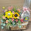 縮圖：哈哈笑鮮花生果禮籃 SMILE Flower and Fruit Hamper FFH009