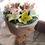 縮圖：百合花束（可選顏色） White Lily Classic Bouquet LYWH10
