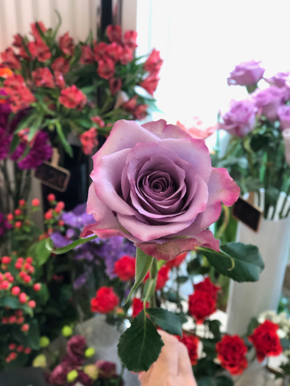 Thumbnail: 袋裝單枝玫瑰 Single Stem Packed Rose RX1 (單買20枝起包基本送貨)