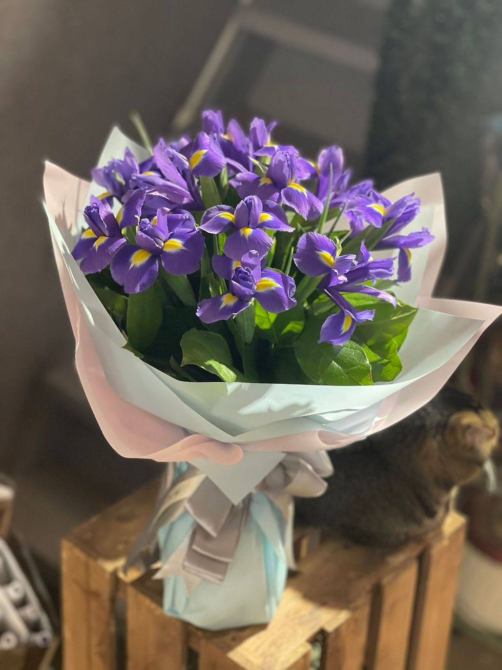 愛麗絲花束IRIS bouquet AL20