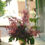 縮圖：（必須預訂）座枱鮮花擺設 Table Floral TT-CY-LH-01(SP）