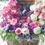 Thumbnail: 鮮花朱古力禮籃 Flowers Hamper FOM3