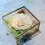 縮圖：花之盒子 保鮮永生玫瑰擺設 ( 多色可選） Preserved flower Rose Arrangment Box