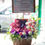 Thumbnail: 鮮花朱古力禮籃 Flowers Hamper FOM3