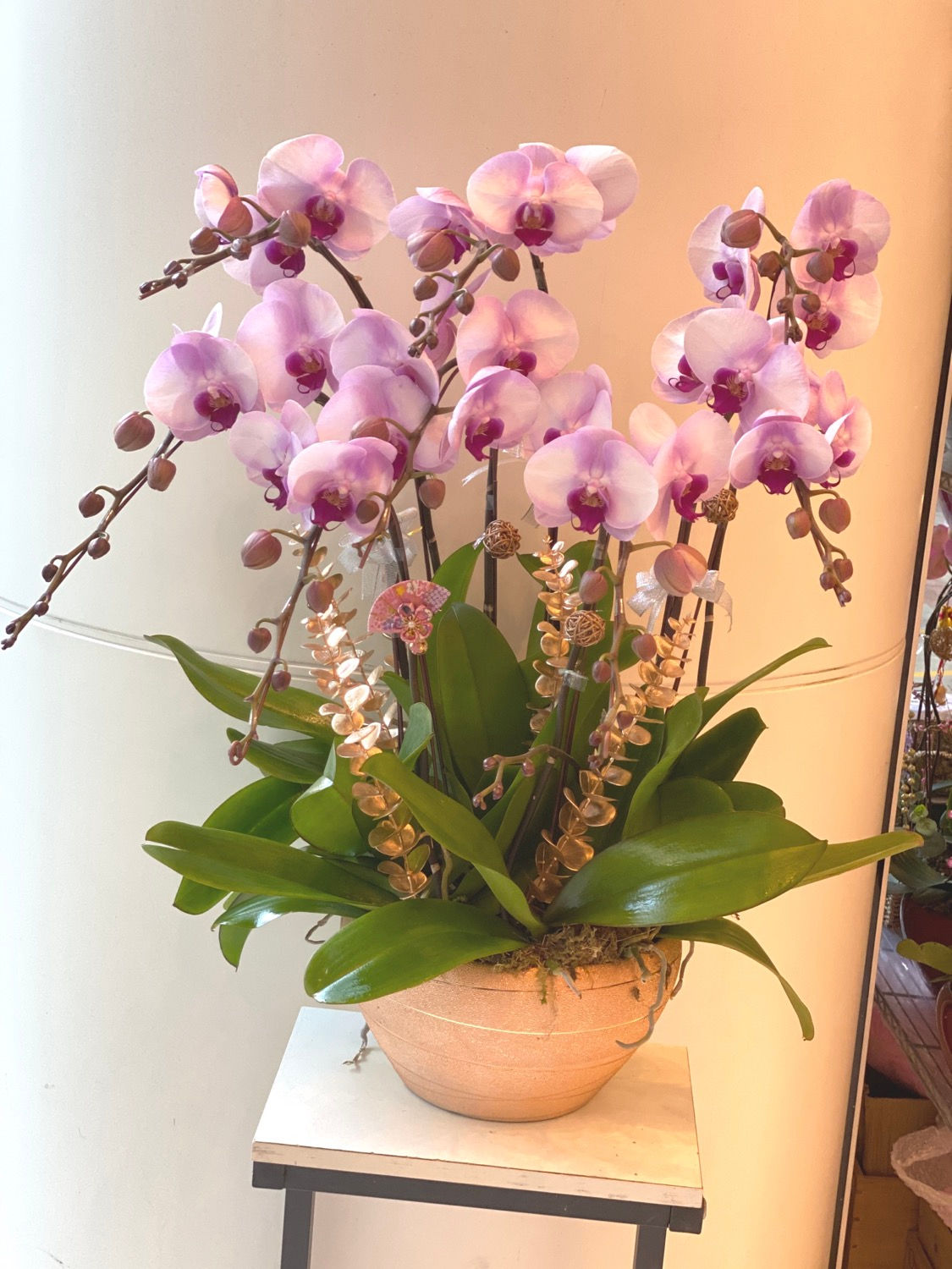 蘭花擺設賀禮 粉紅色蘭花 ORCPK-08C