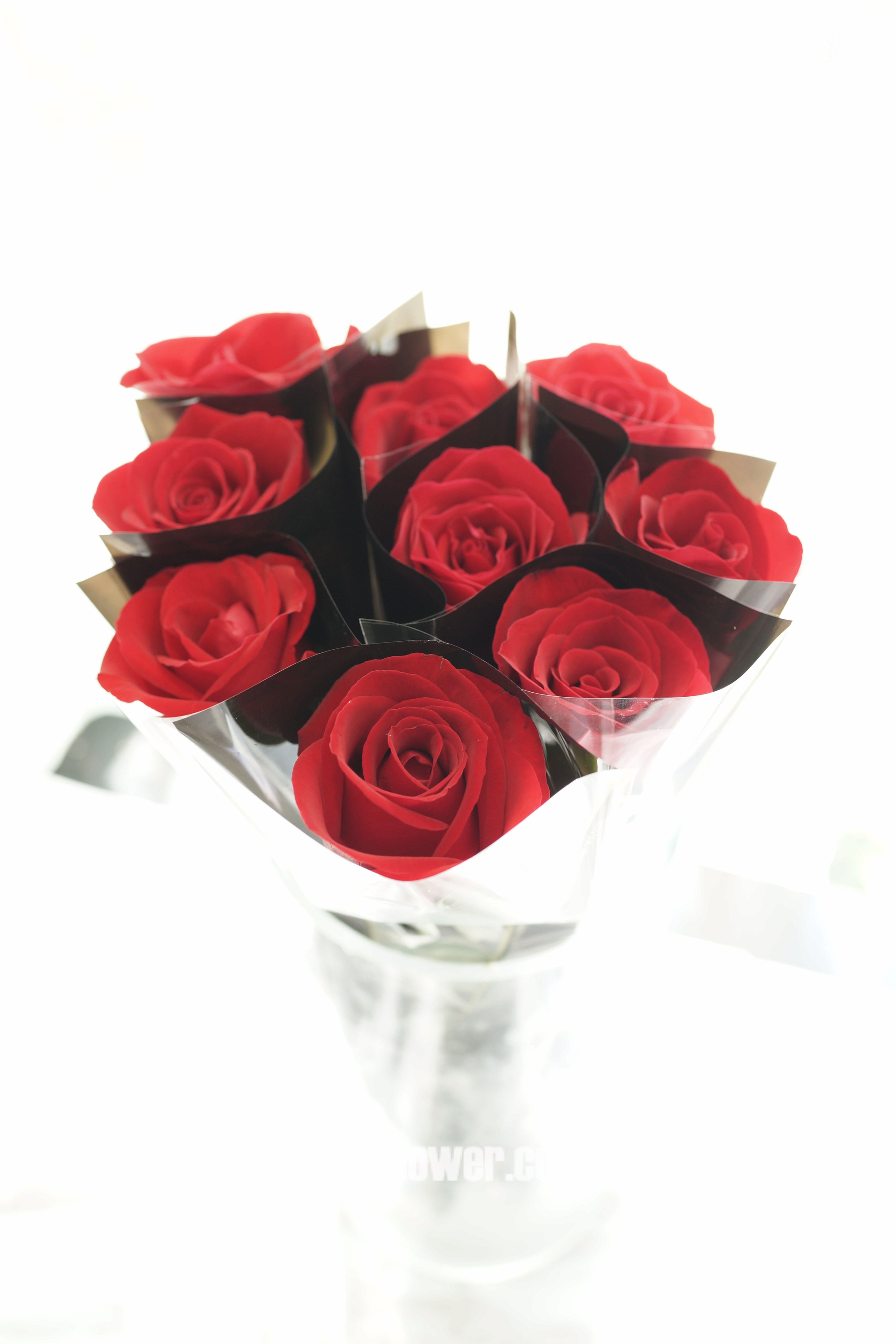 袋裝單枝玫瑰 Single Stem Packed Rose RX1 (單買20枝起包基本送貨)