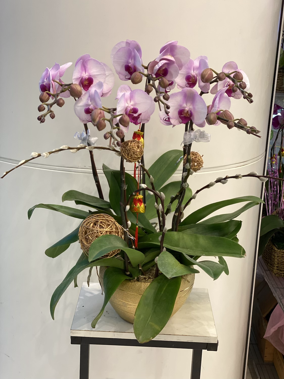 蘭花擺設賀禮 粉紅蘭花