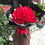 Thumbnail: 51 Red Rose Bouquet rose bouquet (long Korean style wrapping method) RE-BK51L