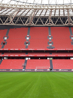 Stade de foot - pelouze