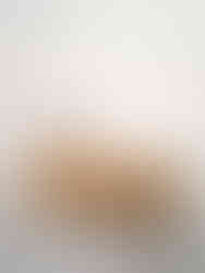 Wooden TV stand with two doors, shelves, and a vase on top