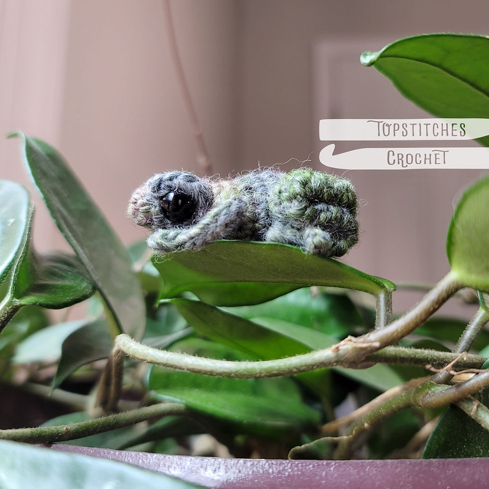 Thumbnail: Tiny Palm-Sized Frog Crochet Pattern