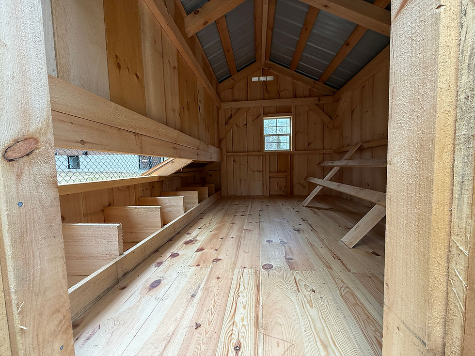 Solid pine chicken coop built for Ontario weather with secure design and ventilation