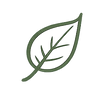 Blatt.png